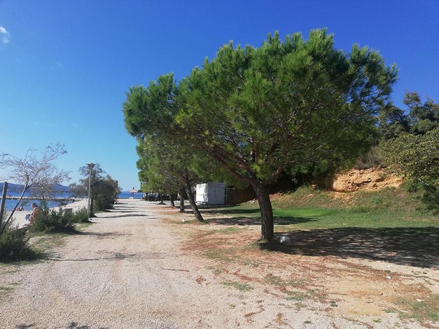 Danyja Apartments Sveti Filip i Jakov Buitenkant foto
