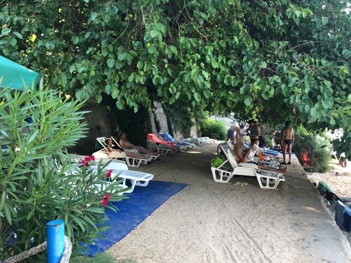 Danyja Apartments Sveti Filip i Jakov Buitenkant foto